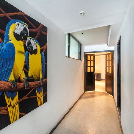 Hotel Elegant Suite Bogota Exterior photo