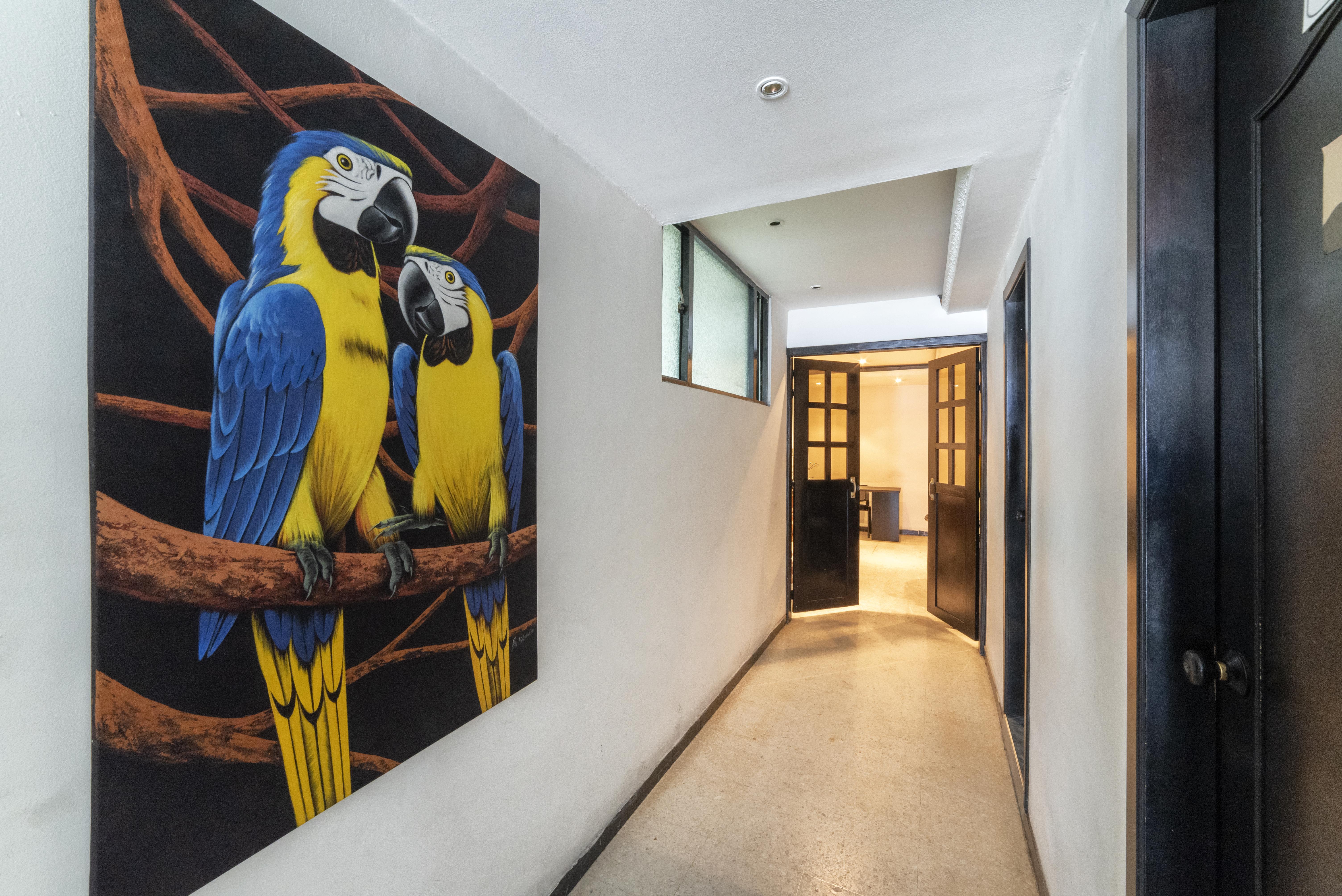 Hotel Elegant Suite Bogota Exterior photo